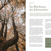 Inhaltsseite aus dem Herbstjournal 2026